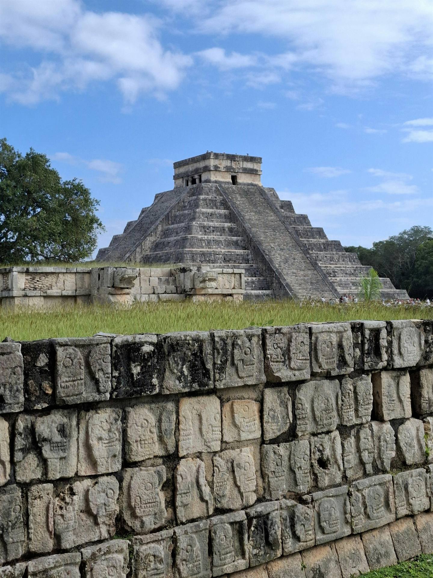 石壁に蛇や戦士の浮き彫りが連なり、強い日差しが彫刻の陰影を深く落とす遺構の壁面