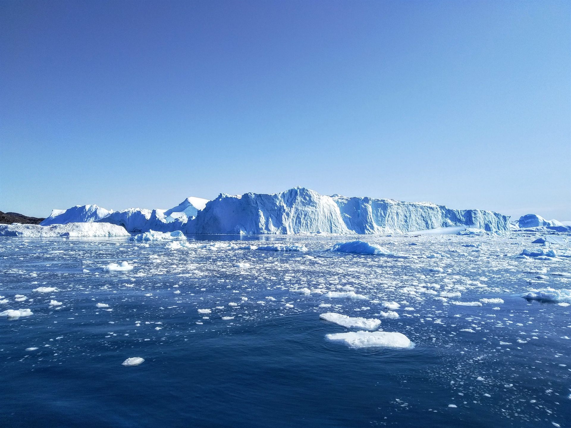 入り江を埋め尽くす大小の氷山が、青みを帯びて水平線の奥まで連なる眺め